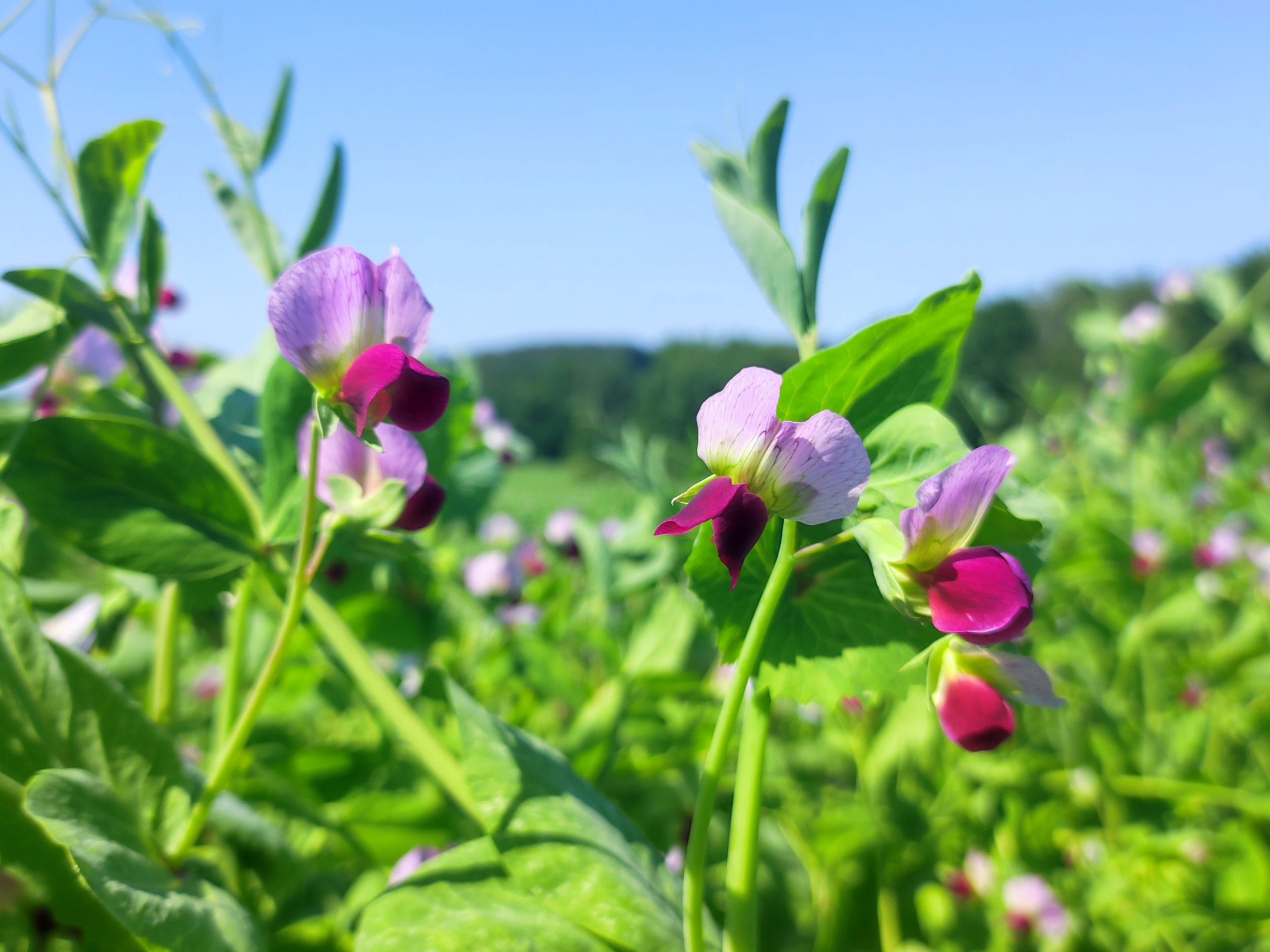 IMG_20260222_143954(1)