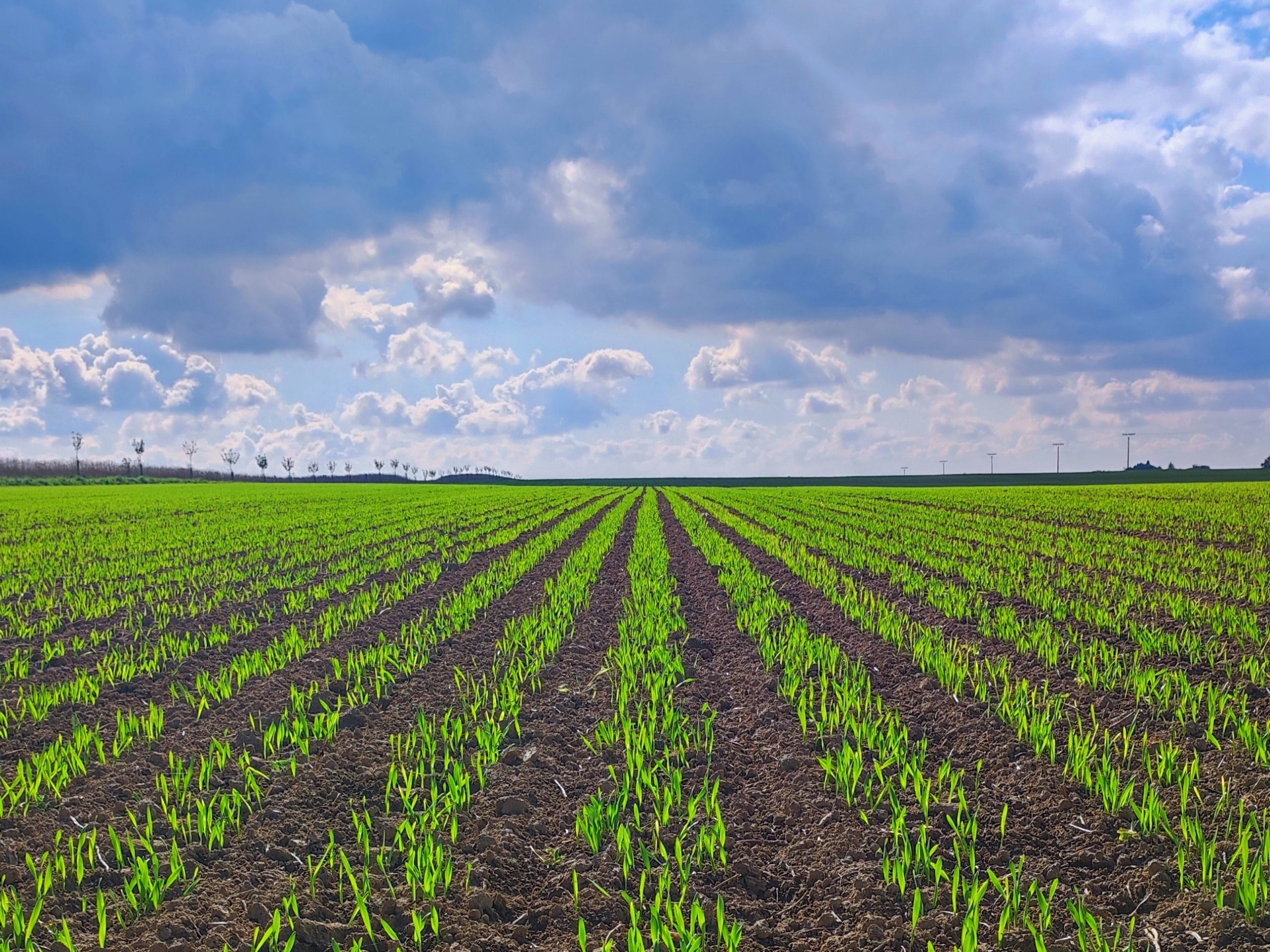 IMG_20260222_145212(1)